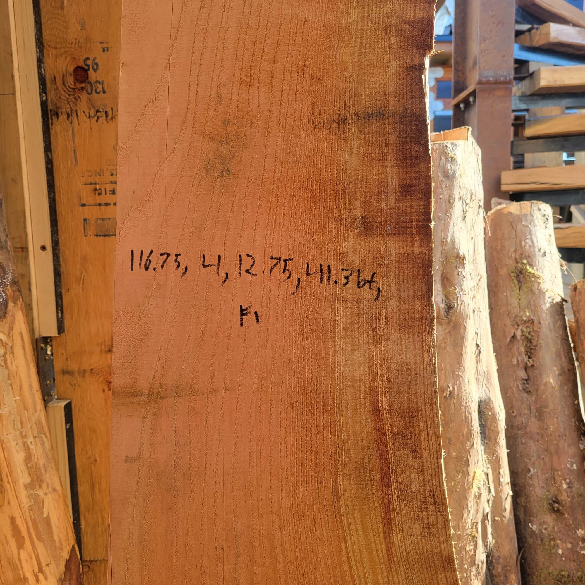 Douglas Fir